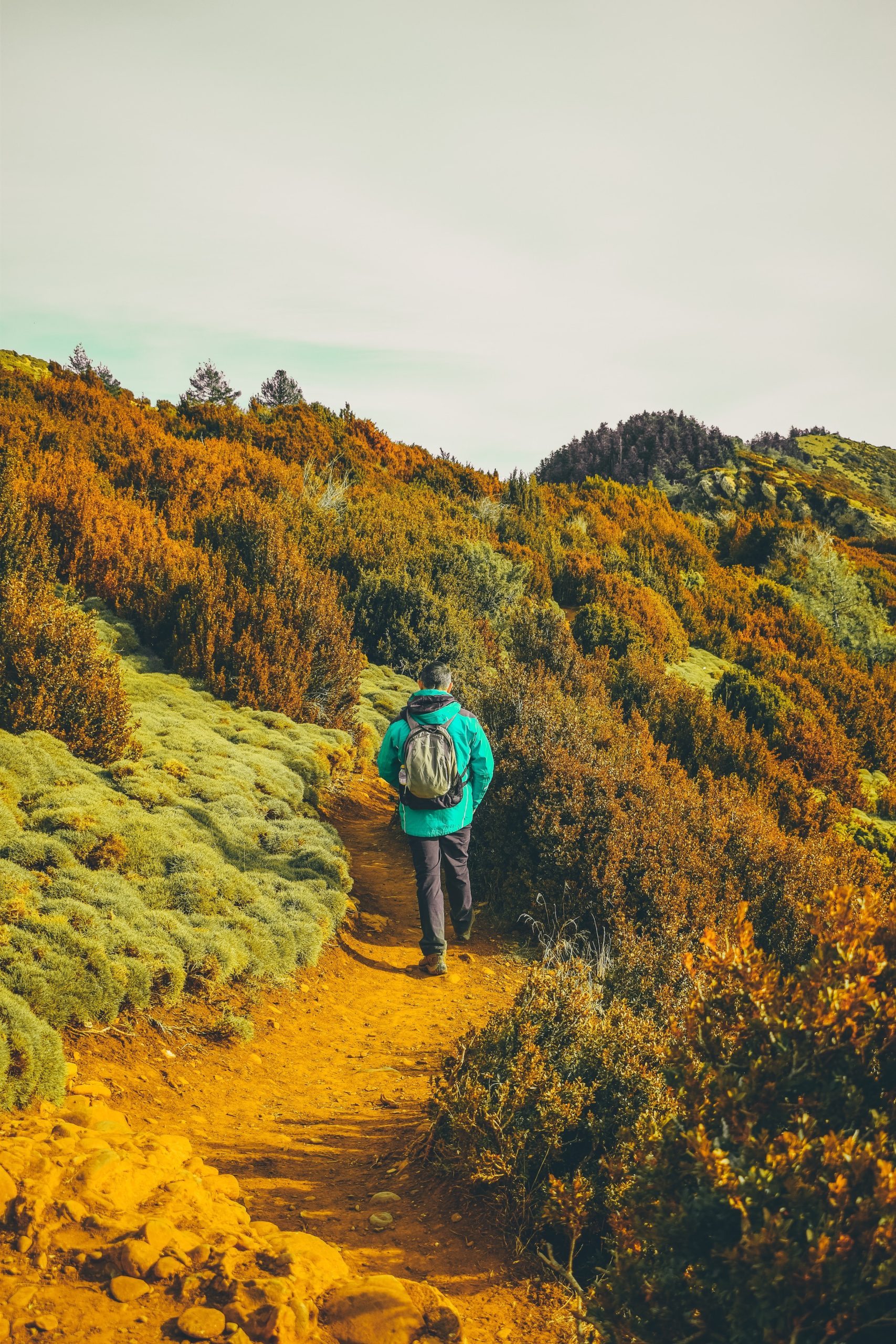 trekking-icin-tavsiyeler-atasehir-otel-zirkon-suit-otel